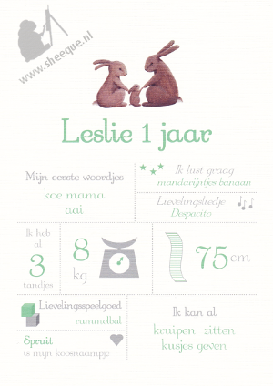 Mijlpalenposter